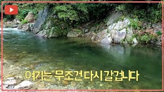 영월ㅣ김삿갓 계곡ㅣ다시 가서 놀고 싶은 계곡 포인트#청정계곡#주차+깨끗한 화장실