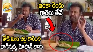 కోడి కూర చిల్లి గారెలని లాగిస్తున్న మోహన్ బాబు.! || Mohan Babu Eating Natu Kodi Chillu Gaare || SM
