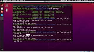 Introduction to SED: Stream Editor