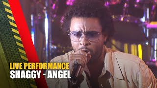 Shaggy - Angel | Live at TMF Awards | The Music Factory