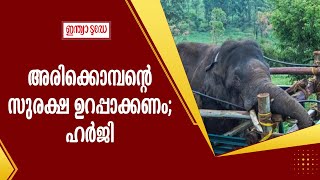 അരിക്കൊമ്പന്റെ സുരക്ഷ ഉറപ്പാക്കണം; ഹർജിയുമായി ട്വന്റി-ട്വന്റി