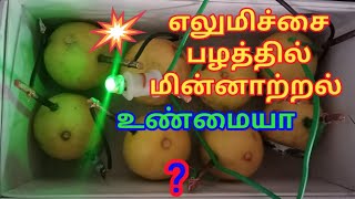 Electrolysis of lemon fruit எலுமிச்சை பழத்தின் மின்னாற்றல்