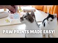 Capture Cat's Paw Prints: Safe, Clean & Easy DIY!