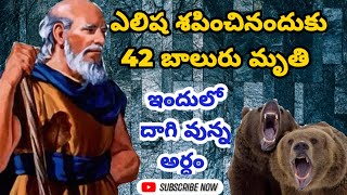 ఎలిష ని వేక్కిరిచ్చినందుకు మరణించిన 42 బాలురు/why Elisha cursed the people