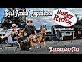 Amish Buggy Adventure Behind The Scenes Amish American Farm