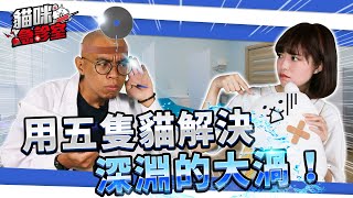 貓咪急診室-用5隻貓解決深淵的大渦！【官方影片】