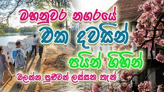 Kandy one day trip| මහනුවර එක දවසින් බලන්න තියෙන් තැන් |Best places to visit in Kandy | Top 10