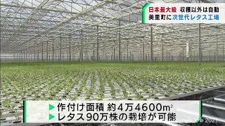 国内最大級のレタス工場完成　作業の9割を自動化　宮城・美里町（20211020OA)