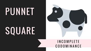 Incomplete Dominance and Codominance Punnett Squares ( Setting up,Solving)