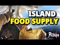 How To ADD  Food to your Island's Shop | Food Supply | Albion Online 2023