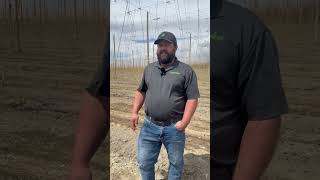 May Hop Crop Update