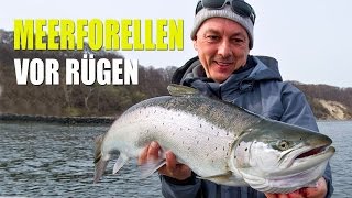 Meerforellenangeln vor Rügen (Doku)