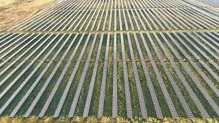 Strathmore Solar \u0026 Sheep Farming Flyover