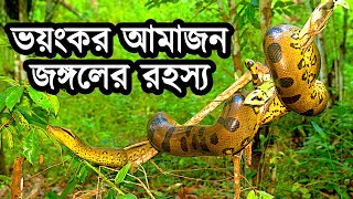 ভয়ংকর আমাজন জঙ্গলের অজানা ৫টি রহস্য যা আপনার কাছে অজানা | 5 Facts Dangerous Amazon Rainforest