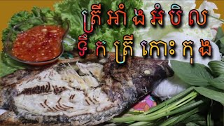 ត្រីអាំងអំបិល ទឹកត្រីកោះកុង Khmer food Authentic Thai Grilled Fish Recipe (Pla Pao ปลาเผา)