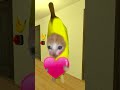 Bananacat Chooses Food #gmod 😸🍌