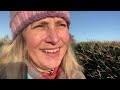 a gentle january vlog uk reseller january 2025