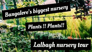 Bangalore Nursery tour - Lalbagh nursery !!!