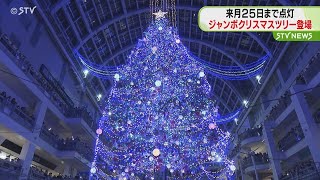 早くもクリスマスムードに　巨大クリスマスツリー点灯