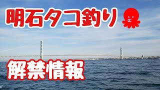 『明石タコ釣り』解禁情報\u0026よくある質問にお答えします！