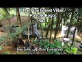 The Pine Forest Villas - Hotel, Part 1