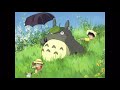 龍貓主題曲－豆豆龍 totoro