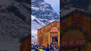 Mai bola parvat ka tu Rani Mahal ki kedarnath temple 2023 April #uttarakhand #kedharnath #today