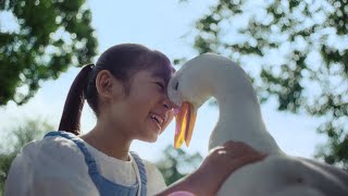 アフラック50周年CM　「生きる」によりそう50年篇　字幕