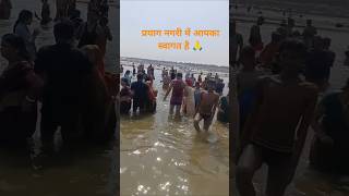 #प्रयाग नगरी बसे संगम के तीरे🙏 #mahakumbh2025 #sangam #viralshorts#subscribe #bhajansong