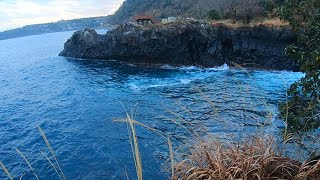 【東伊豆】このワンドでメジナを釣りたい　富戸大根と宇根のあいだ【フカセ釣り、磯釣り】