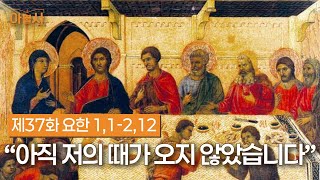 아직 저의 때가 오지 않았습니다ㅣ 아뿔사 37화 ㅣ 요한 1,1-2,12ㅣ 24년 12월