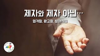 [바로 이 부분에서 제자와 제자가 아닌 사람이 나누어집니다.] 2025년 1월 22일, 연중 제2주간 수요일 (이병근 신부) 원당동 성당