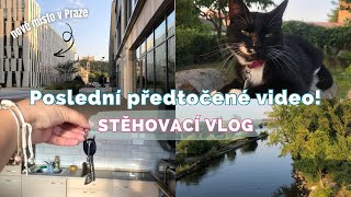 POSLEDNÍ VIDEO Z ROKU 2024 | STĚHOVACÍ VLOG