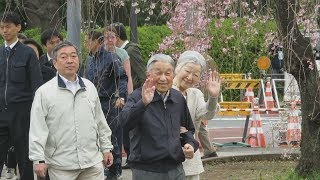 両陛下「お忍び」で花見 在位中最後、皇居外を散策