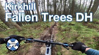 Kirkhill - Fallen Trees DH