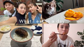 【食事Vlog】妹が来た日の食生活👭🍽