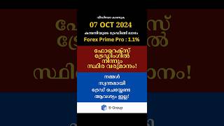 ഫോറെക്സ് ട്രേഡിങ്ങിൽ നിന്നും സ്ഥിര വരുമാനം|08 Oct 2024|#forex trading#forex trading malayalam