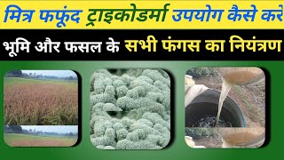 ट्राइकोडर्मा क्या है।How to use trichoderma।bio fungicide।