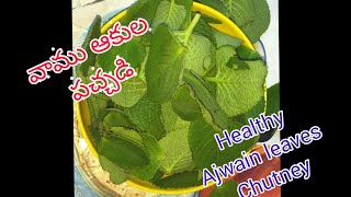 వాము ఆకుల పచ్చడి ||Healthy Ajwain Leaves Chutney || జీర్ణశక్తిని పెంచే వామకు పచ్చడి