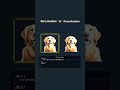 Box Shadow vs Drop Shadow in CSS: What's the Difference?