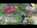 Merapi Kebun Mini Tepi Rumah/ Hujan Ribut Pokok Tumbang/Hidup Sederhana Di Kampung/ Suri Rumah Vloq