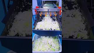 No.394|水果蔬菜清洗機|Fruit and vegetable washing machine|durian Mango cleaner|lemon cleaner|#shorts #food