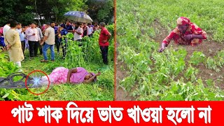 শাক তুলতে গিয়ে! কারেন্ট শকে প্রাণ হারালো মা! মেয়ে দেখেই চিৎকার দিয়ে বেহুশ