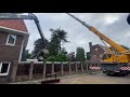 Ceder boom kappen in Tilburg