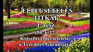 AZ ELPECSÉTELÉS TITKAI - 1. rész. -  Krisztus elpecsételése, a Teremtés garanciája ! - 2013.08.10.