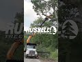 Hazardous Tree Removal with a Knuckleboom Crane!