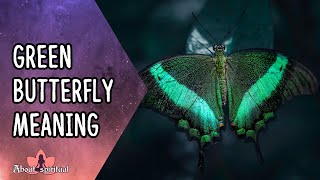 Green Butterfly Meaning (In The Bible | In Dreams)