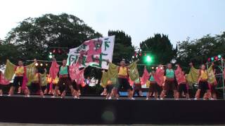 YOSAKOIソーラン日本海彦根三十五万石2013【神羅卍翔】／ファイナル演舞