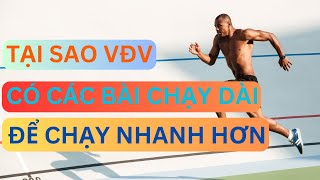 Tại sao người chạy marathon có các bài chạy bộ đường dài để chạy nhanh hơn, xa hơn | Đỗ Trọng Linh