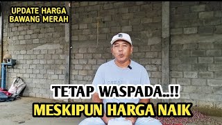 TETAP WAPADA MESKIPUN HARGA NAIK | UPDATE HARGA BAWANG MERAH BJM CHANNEL